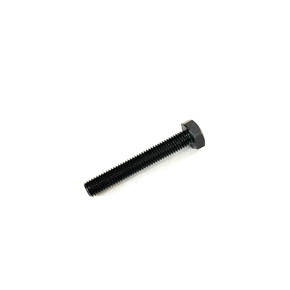 0028883 screw ISO4017 M10x65 ST 10.9